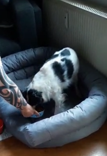 Schlaf gut, kleiner Sammy.